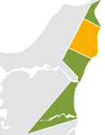 Den børnevenlige strand ved Nordjyllands østkyst tiltrækker hvert år talrige feriegæster til Lyngså.